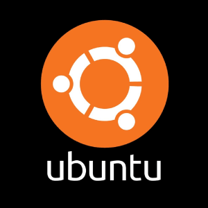 ubuntu@freshers_in